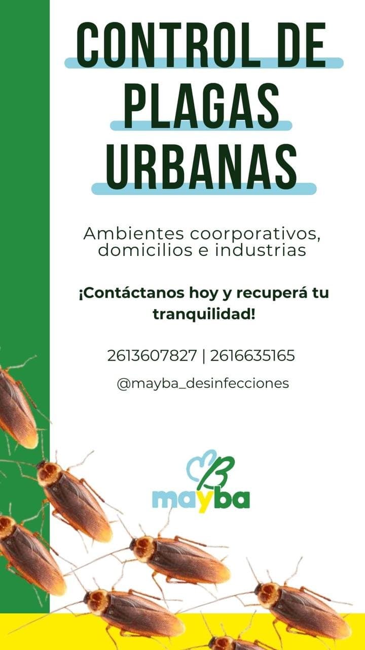 Control de plagas urbanas