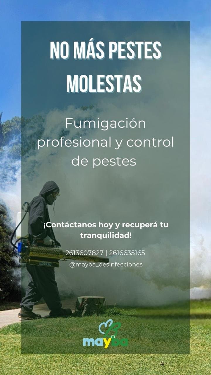 Fumigación profesional con equipo de termonebulización